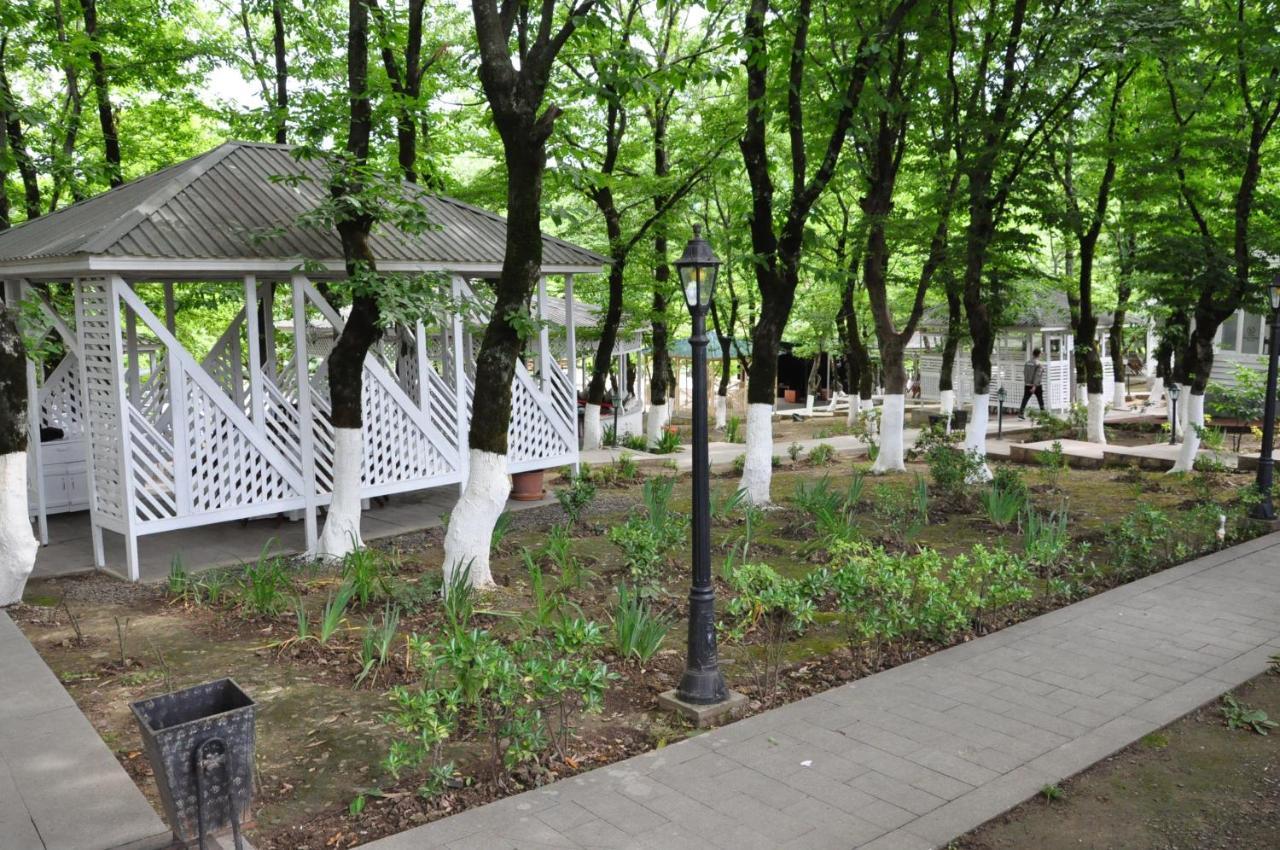 Vilesh Palace Hotel Masallı Zewnętrze zdjęcie