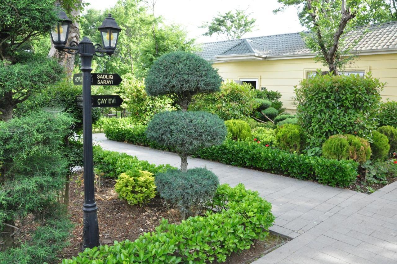 Vilesh Palace Hotel Masallı Zewnętrze zdjęcie