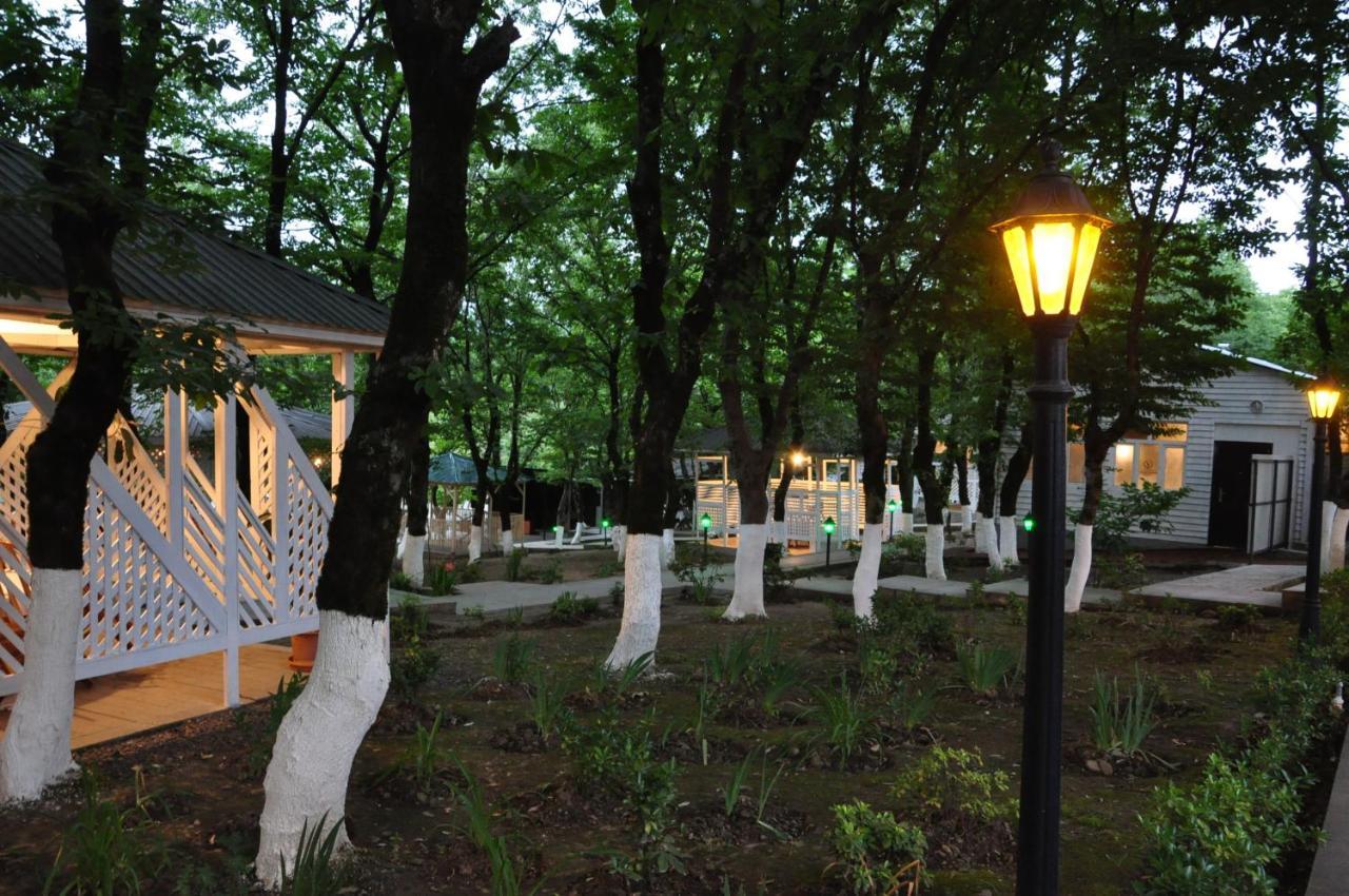 Vilesh Palace Hotel Masallı Zewnętrze zdjęcie