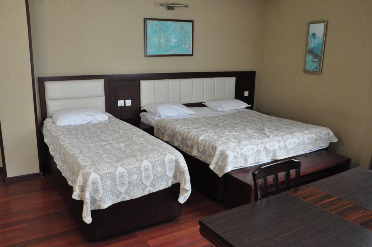 Vilesh Palace Hotel Masallı Zewnętrze zdjęcie