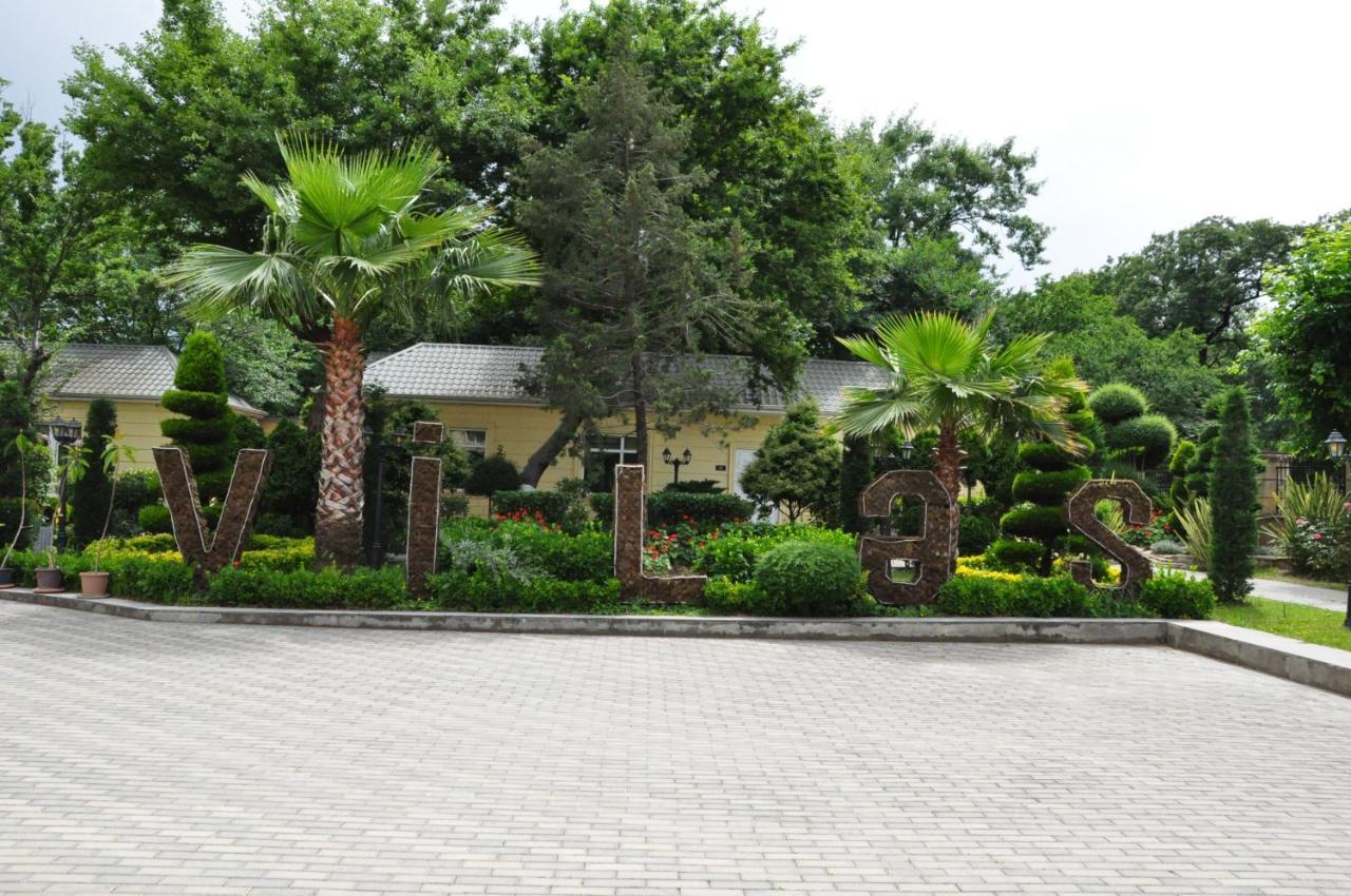 Vilesh Palace Hotel Masallı Zewnętrze zdjęcie