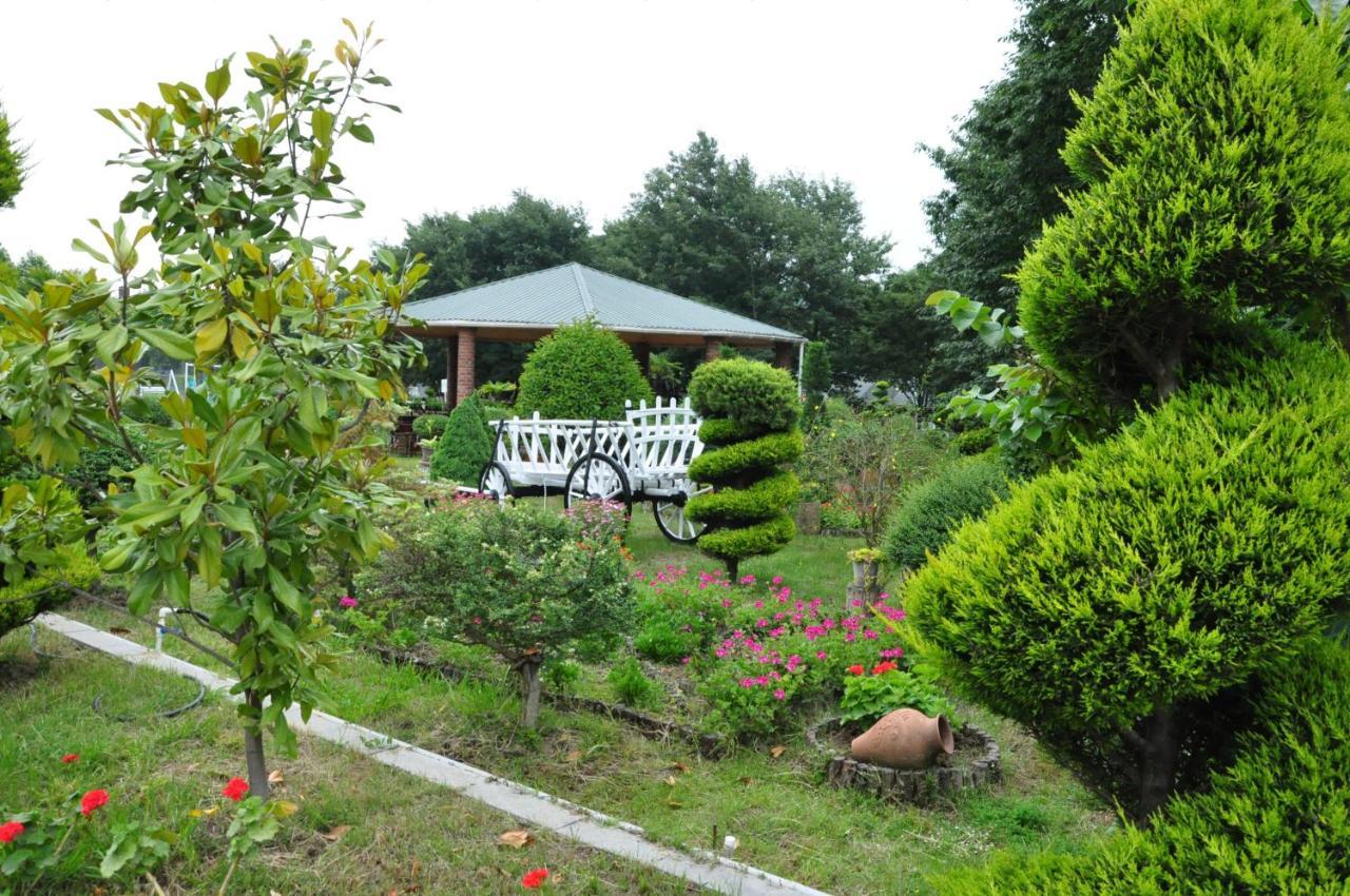 Vilesh Palace Hotel Masallı Zewnętrze zdjęcie