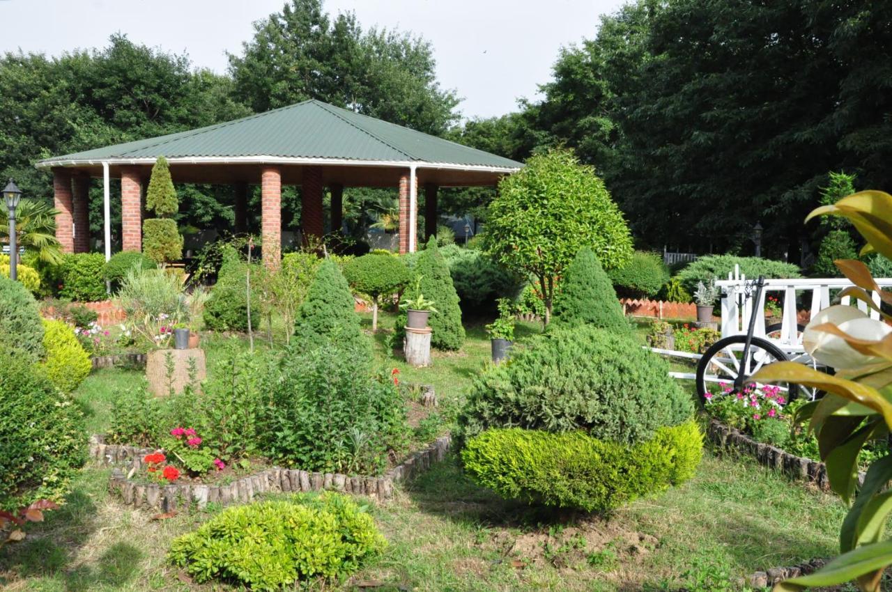 Vilesh Palace Hotel Masallı Zewnętrze zdjęcie