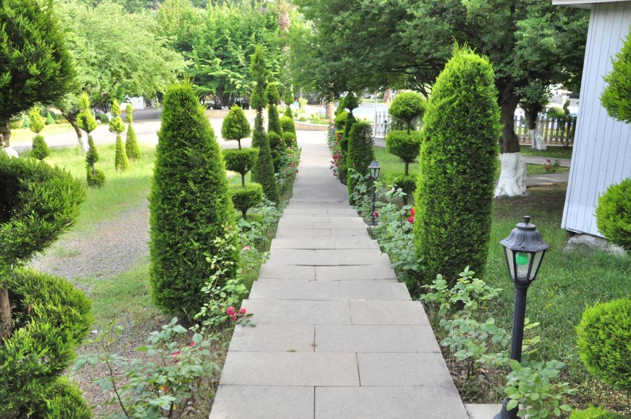 Vilesh Palace Hotel Masallı Zewnętrze zdjęcie