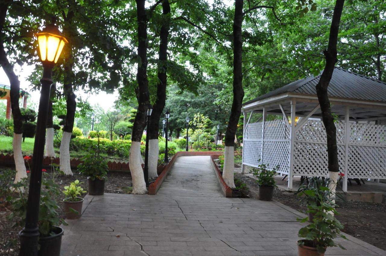 Vilesh Palace Hotel Masallı Zewnętrze zdjęcie