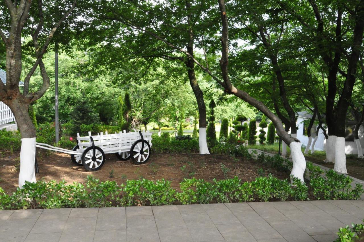 Vilesh Palace Hotel Masallı Zewnętrze zdjęcie
