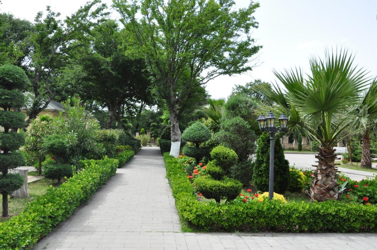 Vilesh Palace Hotel Masallı Zewnętrze zdjęcie