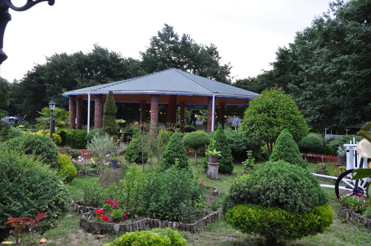 Vilesh Palace Hotel Masallı Zewnętrze zdjęcie