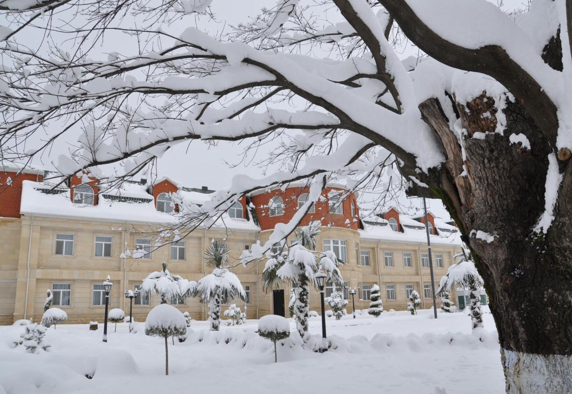 Vilesh Palace Hotel Masallı Zewnętrze zdjęcie